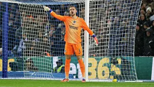 Brentford 22NOV25 Prints: Brighton and Hove Albion v Brentford
Premier League
22NOV25