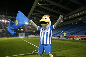 Brighton and Hove Albion v Bristol City Sky Bet Championship 20/10/2015 Brighton and Hove Albion v Bristol City Sky Bet Championship 20/10/2015