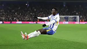 Brighton and Hove Albion v Chelsea Premier League 14FEB25