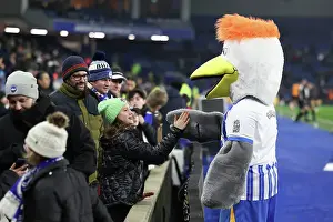 Gully Club Mascot Prints: Brighton and Hove Albion v Chelsea Premier League 14FEB25