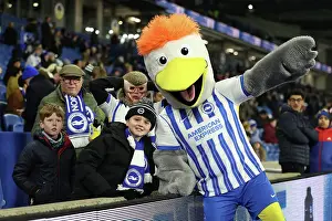 Brighton and Hove Albion v Chelsea Premier League 14FEB25