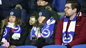 Chelsea 14FEB25 Prints: Brighton and Hove Albion v Chelsea Premier League 14FEB25