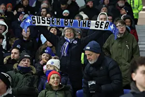 Brighton and Hove Albion v Chelsea Premier League 14FEB25