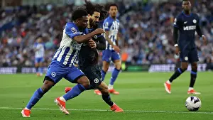 Chelsea Defender Marc Cucurella 3 Prints: Brighton and Hove Albion v Chelsea Premier League 15MAY24