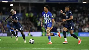 Chelsea 15MAY24 Prints: Brighton and Hove Albion v Chelsea Premier League 15MAY24