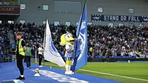 Sally Club Mascot Prints: Brighton and Hove Albion v Crawley Town Carabao Cup 27AUG24