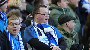 Images Dated 2020 February: Brighton and Hove Albion v Crystal Palace Premier League 029FEB20
