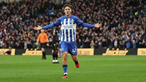 Brighton and Hove Albion v Crystal Palace Premier League 04FEB24