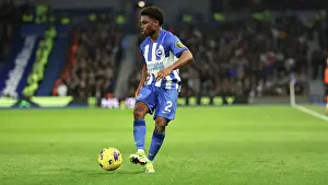 Brighton and Hove Albion v Crystal Palace Premier League 04FEB24