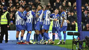 Crystal Palace 03FEB24 Prints: Brighton and Hove Albion v Crystal Palace Premier League 04FEB24
