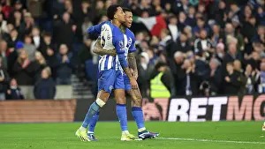 Crystal Palace 03FEB24 Prints: Brighton and Hove Albion v Crystal Palace Premier League 04FEB24