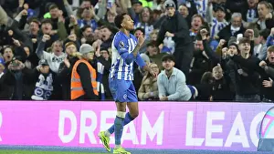 Crystal Palace 03FEB24 Prints: Brighton and Hove Albion v Crystal Palace Premier League 04FEB24