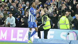 Crystal Palace 03FEB24 Prints: Brighton and Hove Albion v Crystal Palace Premier League 04FEB24