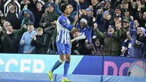 Crystal Palace 03FEB24 Prints: Brighton and Hove Albion v Crystal Palace Premier League 04FEB24