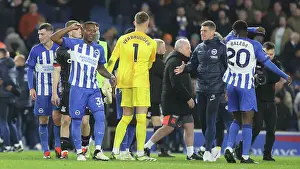 Crystal Palace 03FEB24 Prints: Brighton and Hove Albion v Crystal Palace Premier League 04FEB24