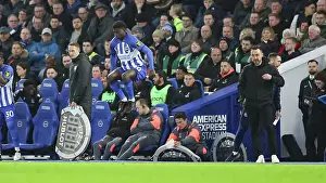 Crystal Palace 03FEB24 Prints: Brighton and Hove Albion v Crystal Palace Premier League 04FEB24