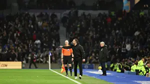 Crystal Palace 03FEB24 Prints: Brighton and Hove Albion v Crystal Palace Premier League 04FEB24