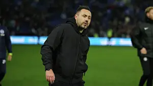 Crystal Palace 03FEB24 Prints: Brighton and Hove Albion v Crystal Palace Premier League 04FEB24