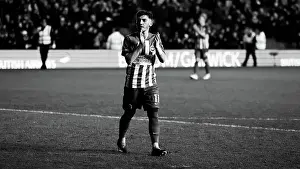 Crystal Palace 03FEB24 Prints: Brighton and Hove Albion v Crystal Palace Premier League 04FEB24