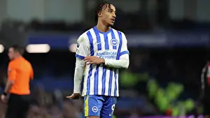Crystal Palace 15DEC24 Prints: Brighton and Hove Albion v Crystal Palace Premier League 16DEC24