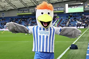 Gully Club Mascot Prints: Brighton and Hove Albion v Crystal Palace Premier League 16DEC24