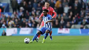 Brighton and Hove Albion v Everton Premier League 24FEB24