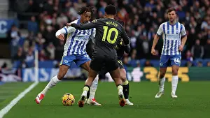Weaves His Way Through Prints: Brighton and Hove Albion v Everton Premier League 25JAN25
