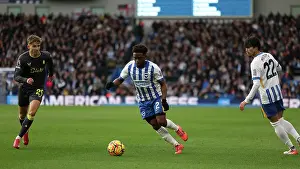 Weaves His Way Through Prints: Brighton and Hove Albion v Everton Premier League 25JAN25