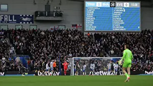 Takes A Penalty And Prints: Brighton and Hove Albion v Everton Premier League 25JAN25