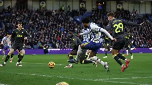Brighton and Hove Albion v Everton Premier League 25JAN25
