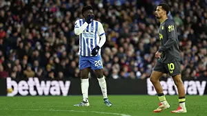 Looks Frustrated Prints: Brighton and Hove Albion v Everton Premier League 25JAN25