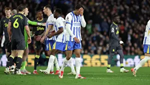 Everton 25JAN25 Prints: Brighton and Hove Albion v Everton Premier League 25JAN25