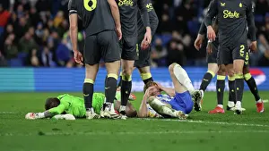 Everton 25JAN25 Prints: Brighton and Hove Albion v Everton Premier League 25JAN25