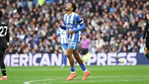 Looks Frustrated Prints: Brighton and Hove Albion v Everton
Premier League
31JAN26