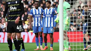 Jostles For Position Prints: Brighton and Hove Albion v Everton
Premier League
31JAN26