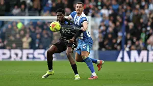 Everton 31JAN26 Prints: Brighton and Hove Albion v Everton
Premier League
31JAN26