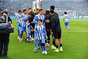 brighton hove albion v everton premier league Trending Item 6