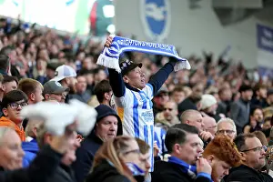 Celebrate Prints: Brighton and Hove Albion v Fulham Premier League 08MAR25