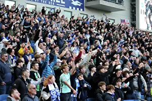 Celebrate Prints: Brighton and Hove Albion v Fulham Premier League 08MAR25