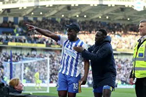Celebrate Prints: Brighton and Hove Albion v Fulham Premier League 08MAR25