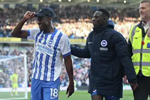 Celebrate Prints: Brighton and Hove Albion v Fulham Premier League 08MAR25