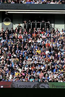 Celebrate Prints: Brighton and Hove Albion v Fulham Premier League 08MAR25