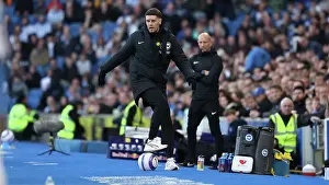 Brighton and Hove Albion v Fulham Premier League 08MAR25