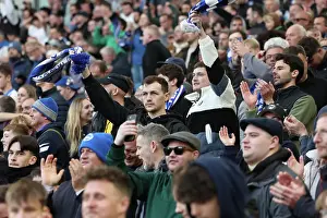 Brighton and Hove Albion v Fulham Premier League 08MAR25