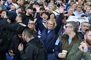 Brighton and Hove Albion v Fulham Premier League 08MAR25