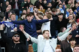Brighton and Hove Albion v Fulham Premier League 08MAR25