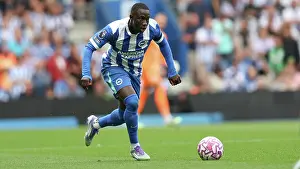 Brighton and Hove Albion v Fulham<br> Premier League<br> 16AUG25