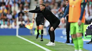 In The Technical Area Prints: Brighton and Hove Albion v Fulham
Premier League
16AUG25