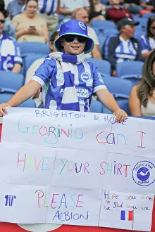 Fulham 16AUG25 Prints: Brighton and Hove Albion v Fulham
Premier League
16AUG25
