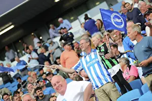 Fulham 16AUG25 Prints: Brighton and Hove Albion v Fulham
Premier League
16AUG25